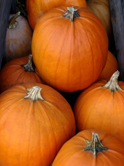 Pumpkins in a box
