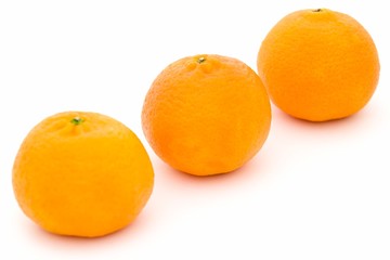 mandarines