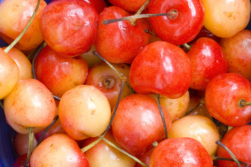 sweet red cherry background