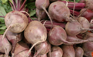 Freshly Picked Beets