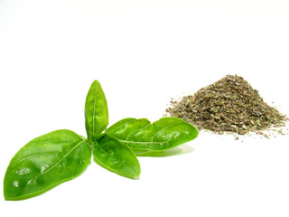 Detail sweet basil, spice herbs