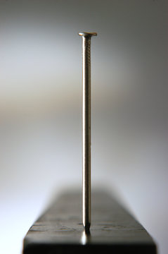 Chiodo