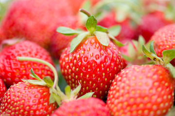 close-up strawberries with shalow depth of view