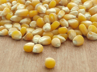 corn