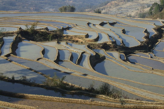 rizi&egrave;re du yuanyang