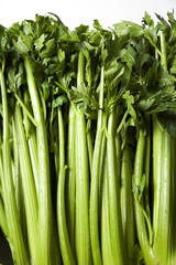 Fototapeta premium Celery