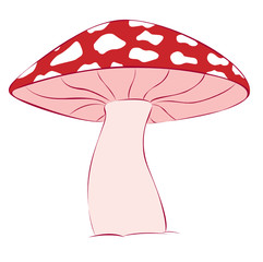 Mushroom