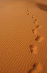 Fototapeta na wymiar Ślady na pustyni