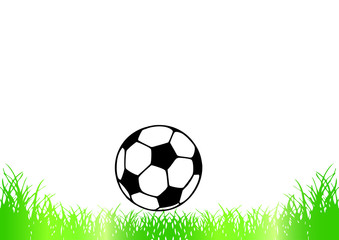soccer ball on the grass