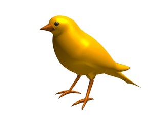 oiseau