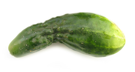 Cucumber