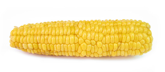Corn maize