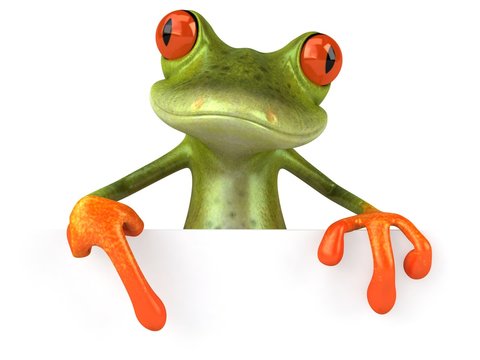 Grenouille avec un panneau blanc
