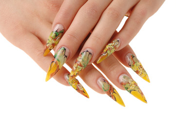 woman's hands isolated