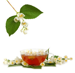 Jasmine tea