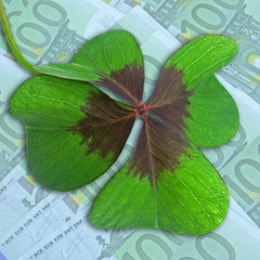 trèfle à quatre feuilles sur fond de billets de 100 euros