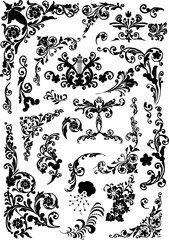 black floral ornament curls