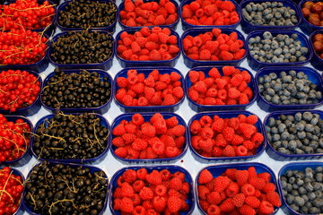 Knackige Früchte auf dem Wochenmarkt