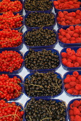 Knackige Früchte auf dem Wochenmarkt