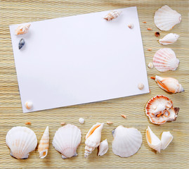 paper with seashells