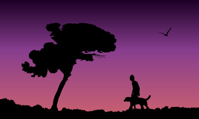 young man walking his dog at purple sunset, vector illustration