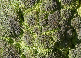 green broccoli