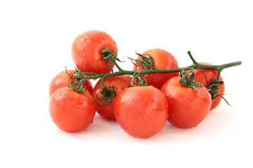 tomatoes