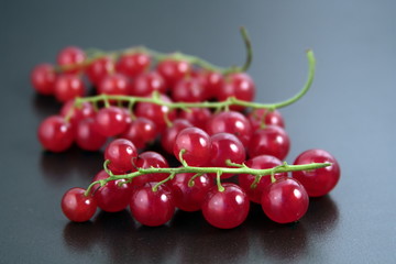 red currant