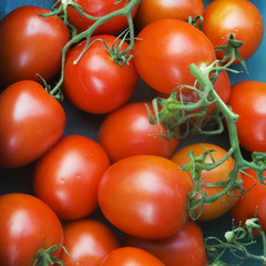 tomatoes