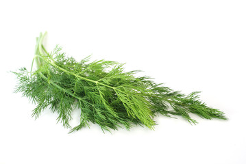 Fresh dill herb on white