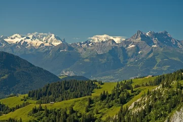 Peel and stick wall murals Mont Blanc Swiss Alpine Landscape from Leysin SHowing Mont Blanc