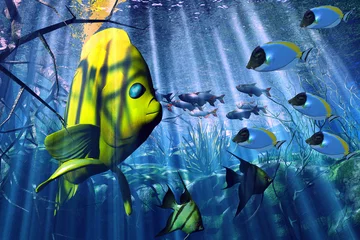 Selbstklebende Fototapeten Unterwasser © satori
