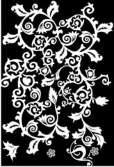 white curles on black