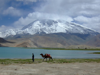 karakul1