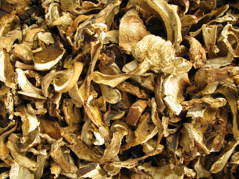 Boletus edulis porcini dried