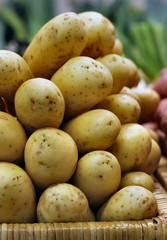 Panier de pommes de terre