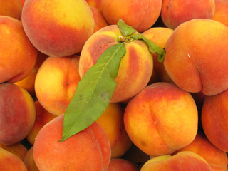 Peaches perfect with leaf
