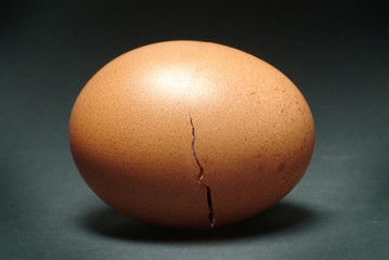Brown Egg with Cracked Shell