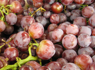 Bunch of grapes fresh