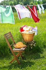 Wash day for dish towels