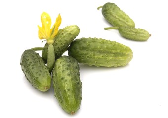 cucumber