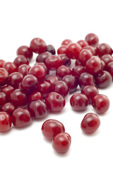 Fresh cherry macro