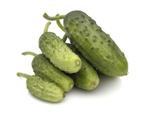cucumber