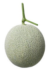 rockmelon