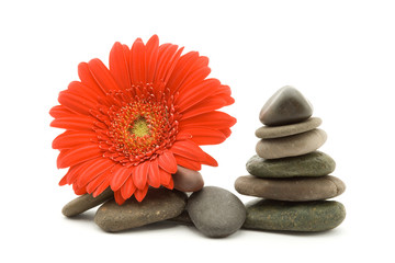 Naklejka na ściany i meble zen stones and flower