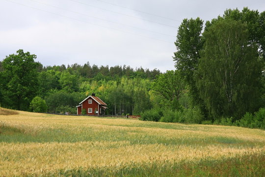schwedenhaus