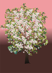 tree with flowers illustration