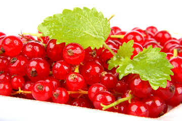 Currant