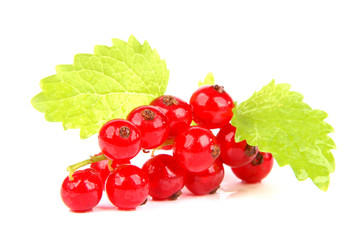 Currant