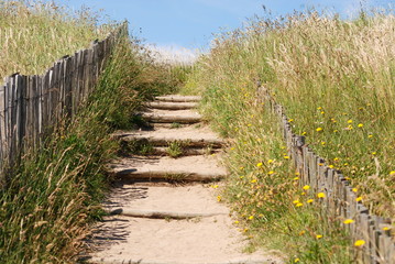 chemin